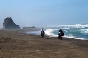 2IBHorses1