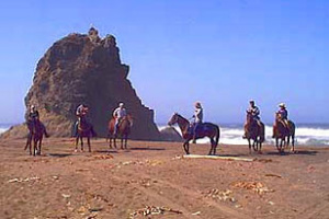 BeachLgGroup