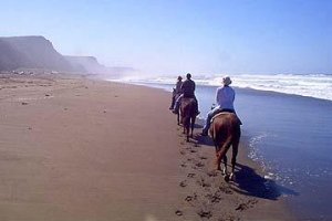 BeachRide13