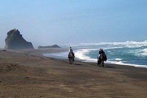 2IBHorses1