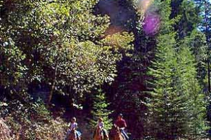 Ranch10