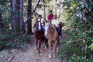 Ranch7