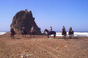 BeachRide04