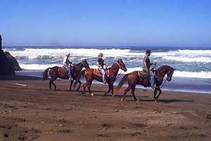 BeachRide07