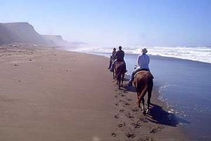 BeachRide13