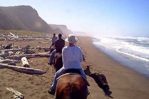 BeachRide14