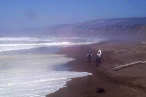 BeachRide17