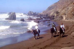 BeachRide19