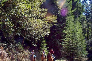 Ranch10