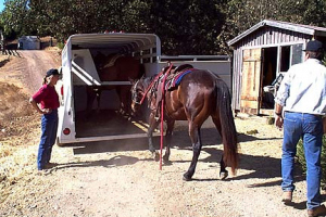 Ranch12