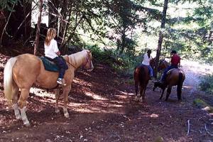 Ranch4