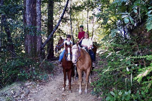 Ranch8