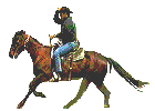 horse riding animation