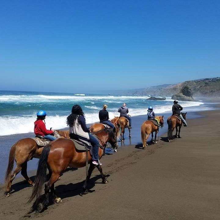 mendocino coast horseback riding at beach