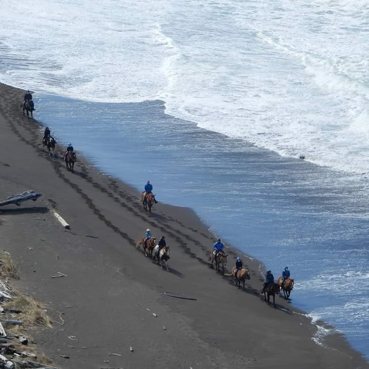 beach horseback riding on mendocino coast